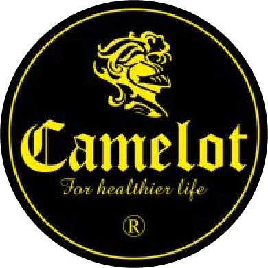camelot